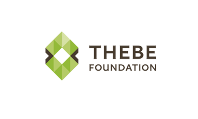 Thebe Foundation Dr EJ Mabuza Scholarship 2024