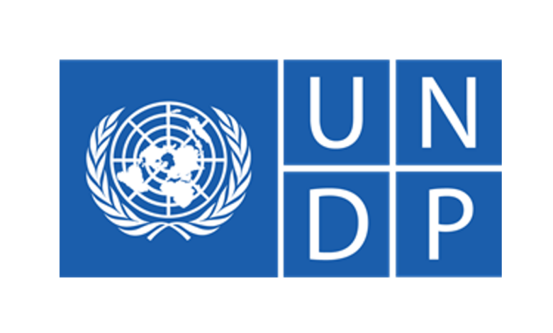 UNDP Home Based Internship - Human Development Report Office