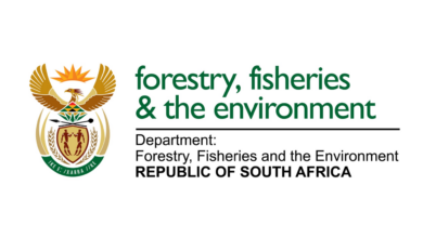 Department of Forestry, Fisheries and the Environment (DFFE) 2024 Internships for Unemployed Graduates - R7,142.00 Per Month