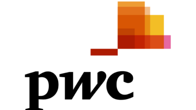 PwC South Africa Graduate and Learnership Programmes 2024-2025